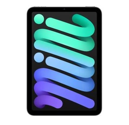 iPad Mini 8,3" A17 Pro 256GB Gris espacial