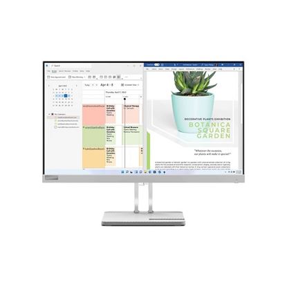 Monitor Lenovo L24E-40 FHD 23,8'' 75Hz