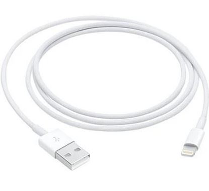 Cable de USB-C a Lightning (1 m) Homologado
